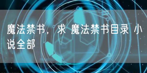 魔法禁书，求 魔法禁书目录 小说全部