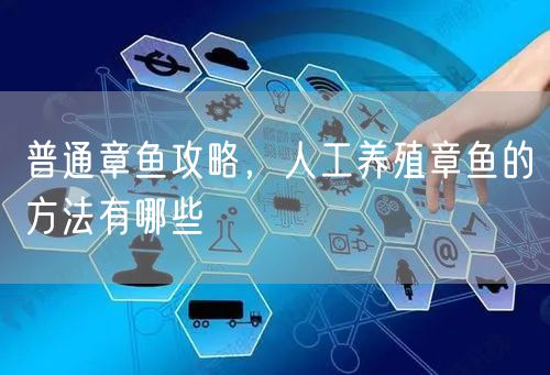 普通章鱼攻略，人工养殖章鱼的方法有哪些