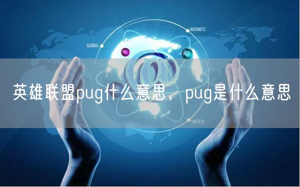 英雄联盟pug什么意思，pug是什么意思