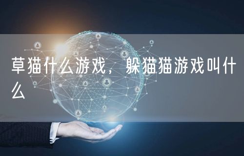 草猫什么游戏，躲猫猫游戏叫什么
