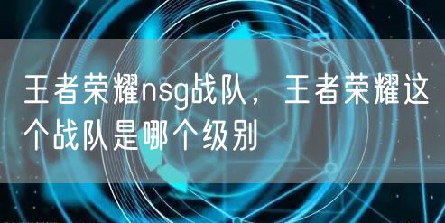 王者荣耀nsg战队，王者荣耀这个战队是哪个级别