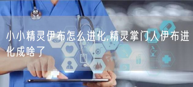 小小精灵伊布怎么进化,精灵掌门人伊布进化成啥了