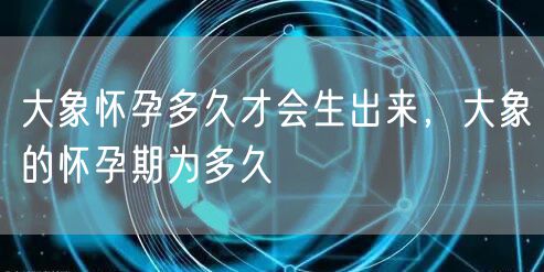 大象怀孕多久才会生出来，大象的怀孕期为多久