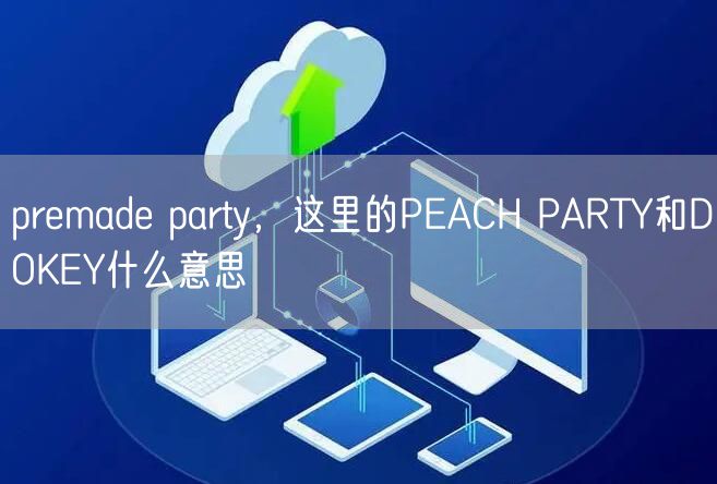 premade party，这里的PEACH PARTY和DOKEY什么意思