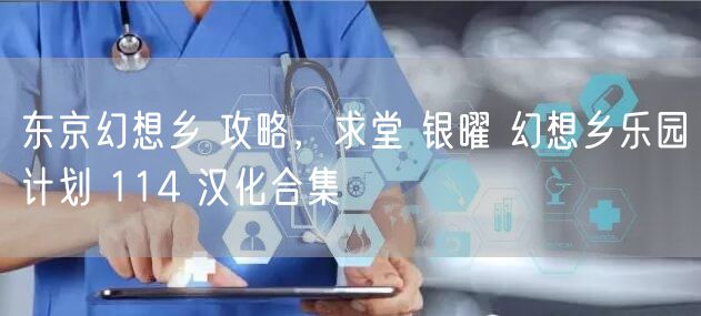 东京幻想乡 攻略，求堂 银曜 幻想乡乐园计划 114 汉化合集