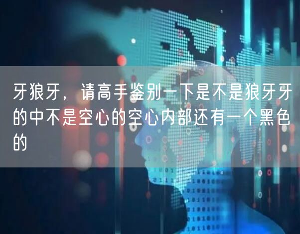 牙狼牙，请高手鉴别一下是不是狼牙牙的中不是空心的空心内部还有一个黑色的