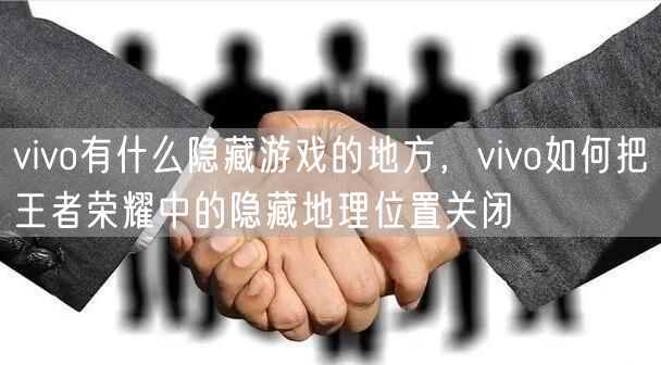 vivo有什么隐藏游戏的地方，vivo如何把王者荣耀中的隐藏地理位置关闭