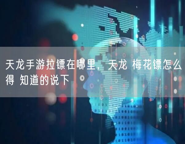 天龙手游拉镖在哪里，天龙 梅花镖怎么得 知道的说下