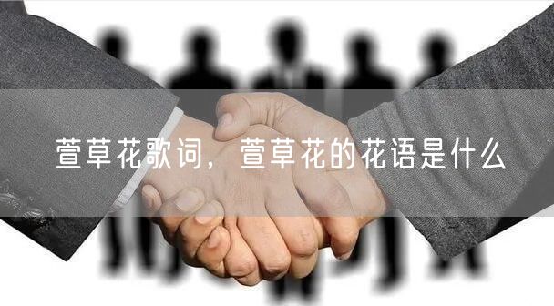 萱草花歌词，萱草花的花语是什么