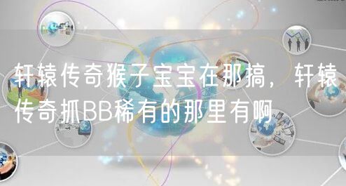 轩辕传奇猴子宝宝在那搞，轩辕传奇抓BB稀有的那里有啊
