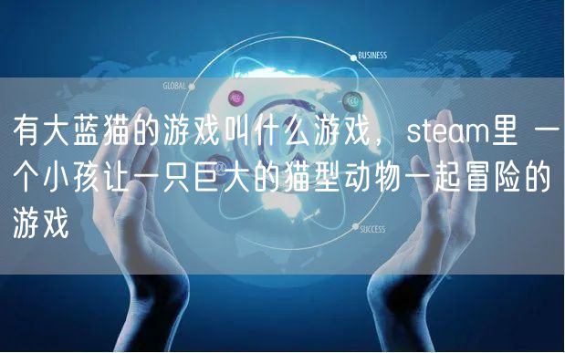 有大蓝猫的游戏叫什么游戏，steam里 一个小孩让一只巨大的猫型动物一起冒险的游戏