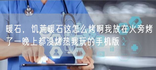 暖石，饥荒暖石这怎么烤啊我放在火旁烤了一晚上都没烤热我玩的手机版