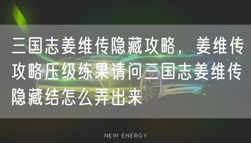 三国志姜维传隐藏攻略，姜维传攻略压级练果请问三国志姜维传隐藏结怎么弄出来