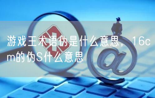 游戏王术语伪是什么意思，16cm的伪S什么意思