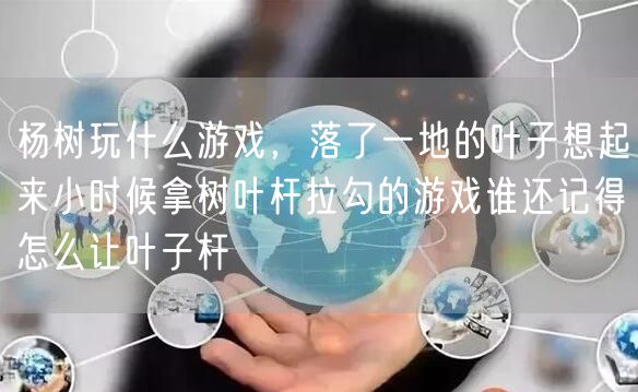 杨树玩什么游戏，落了一地的叶子想起来小时候拿树叶杆拉勾的游戏谁还记得怎么让叶子杆