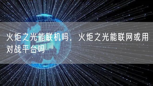 火炬之光能联机吗，火炬之光能联网或用对战平台吗