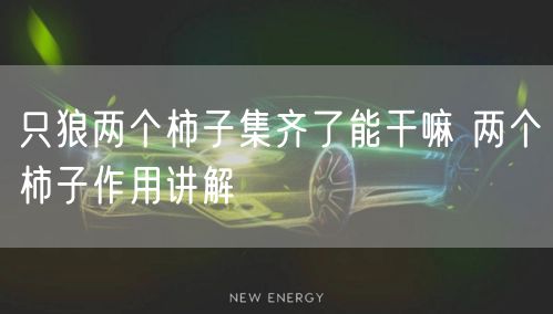 只狼两个柿子集齐了能干嘛 两个柿子作用讲解