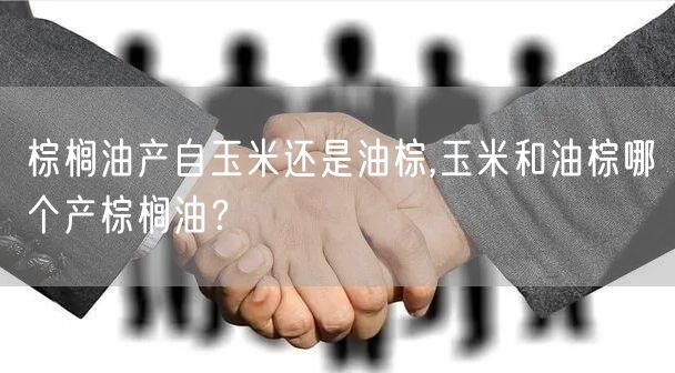 棕榈油产自玉米还是油棕,玉米和油棕哪个产棕榈油？