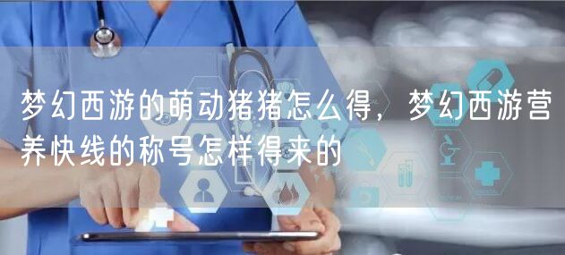 梦幻西游的萌动猪猪怎么得，梦幻西游营养快线的称号怎样得来的