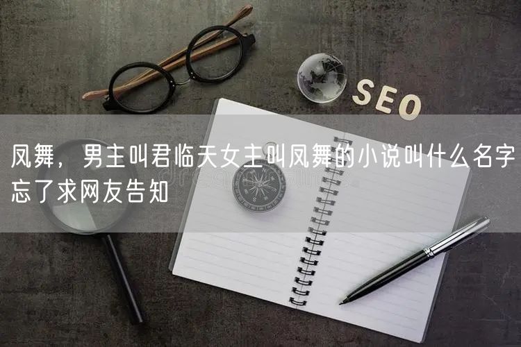 凤舞，男主叫君临天女主叫凤舞的小说叫什么名字忘了求网友告知