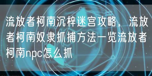 流放者柯南沉梓迷宫攻略，流放者柯南奴隶抓捕方法一览流放者柯南npc怎么抓