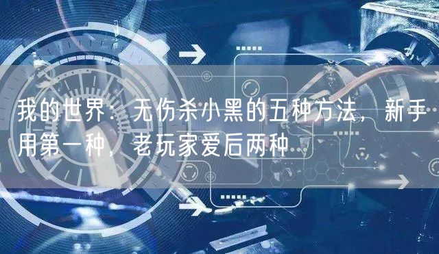 我的世界：无伤杀小黑的五种方法，新手用第一种，老玩家爱后两种