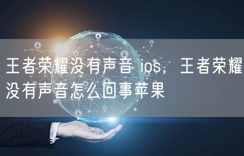 王者荣耀没有声音 ios，王者荣耀没有声音怎么回事苹果