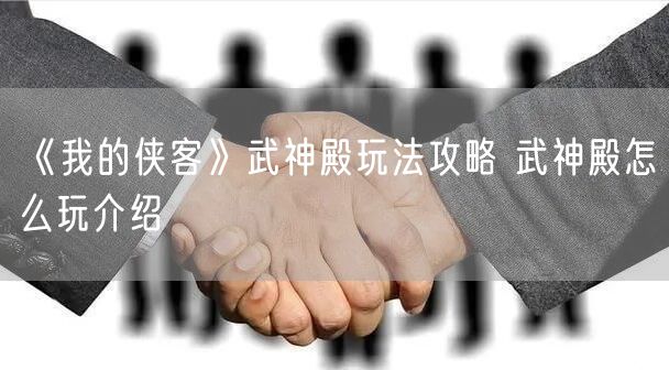 《我的侠客》武神殿玩法攻略 武神殿怎么玩介绍