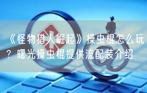 《怪物猎人崛起》操虫棍怎么玩？曙光操虫棍提供流配装介绍