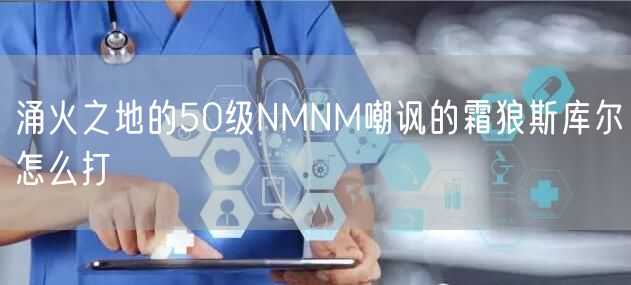 涌火之地的50级NMNM嘲讽的霜狼斯库尔怎么打