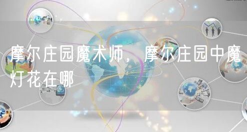 摩尔庄园魔术师，摩尔庄园中魔灯花在哪