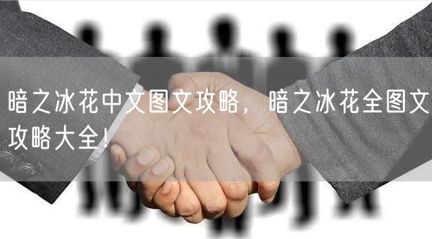 暗之冰花中文图文攻略，暗之冰花全图文攻略大全！
