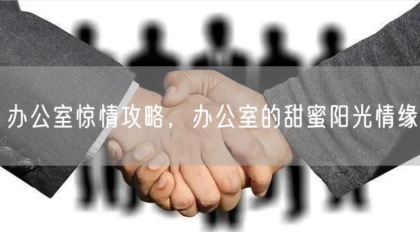 办公室惊情攻略，办公室的甜蜜阳光情缘