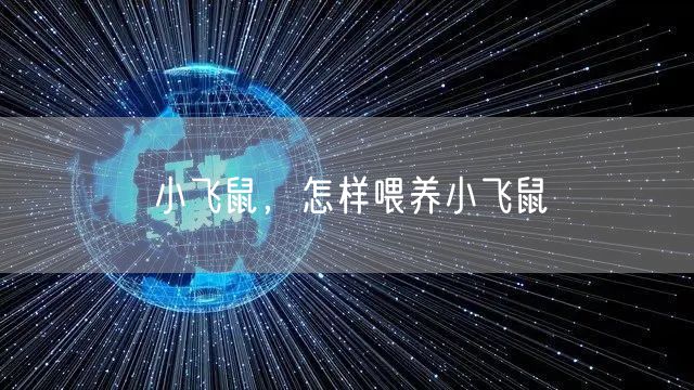 小飞鼠，怎样喂养小飞鼠