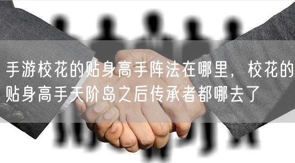 手游校花的贴身高手阵法在哪里，校花的贴身高手天阶岛之后传承者都哪去了