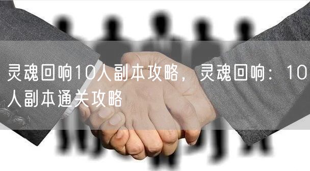 灵魂回响10人副本攻略，灵魂回响：10人副本通关攻略