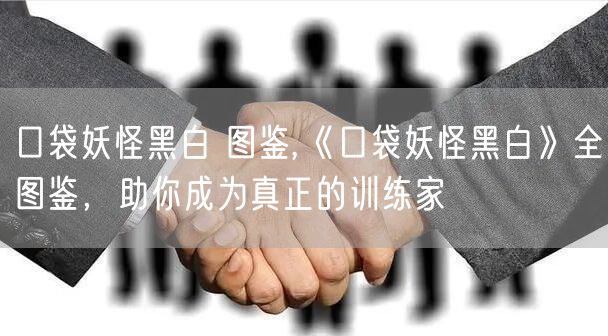 口袋妖怪黑白 图鉴,《口袋妖怪黑白》全图鉴，助你成为真正的训练家