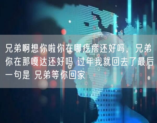 兄弟啊想你啦你在哪疙瘩还好吗，兄弟你在那嘎达还好吗 过年我就回去了最后一句是 兄弟等你回家
