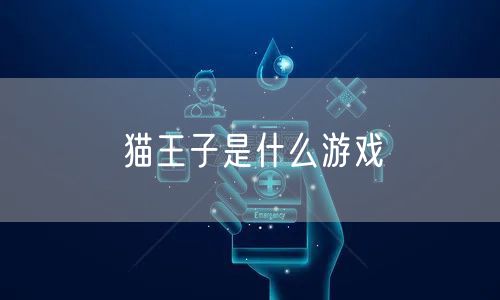 猫王子是什么游戏