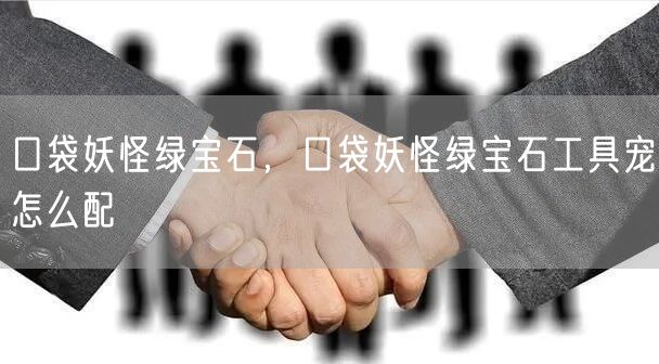 口袋妖怪绿宝石，口袋妖怪绿宝石工具宠怎么配