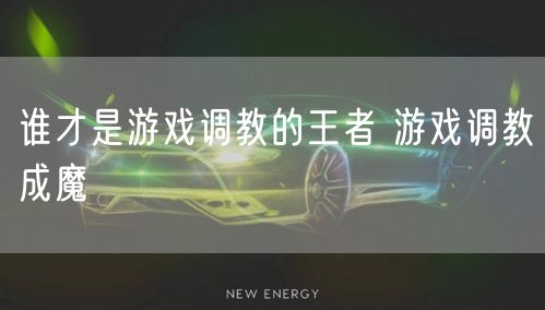 谁才是游戏调教的王者 游戏调教成魔