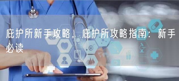 庇护所新手攻略，庇护所攻略指南：新手必读