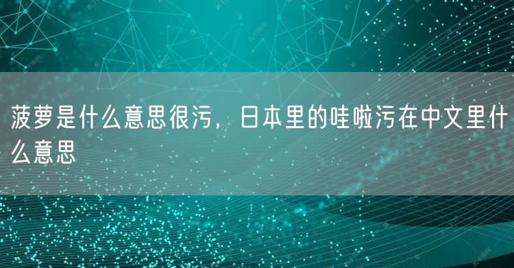 菠萝是什么意思很污，日本里的哇啦污在中文里什么意思