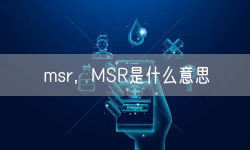 msr，MSR是什么意思
