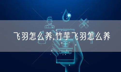 飞羽怎么养,竹芋飞羽怎么养