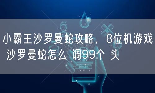 小霸王沙罗曼蛇攻略，8位机游戏 沙罗曼蛇怎么 调99个 头