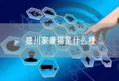 德川家康猫是什么梗