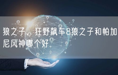 狼之子，狂野飙车8狼之子和帕加尼风神哪个好
