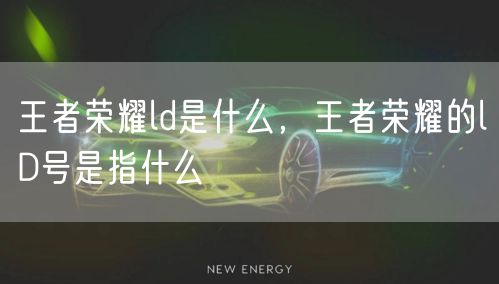 王者荣耀ld是什么，王者荣耀的lD号是指什么