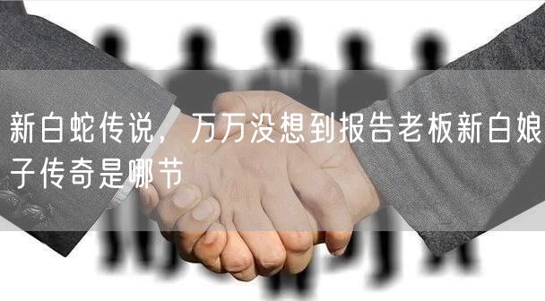 新白蛇传说，万万没想到报告老板新白娘子传奇是哪节